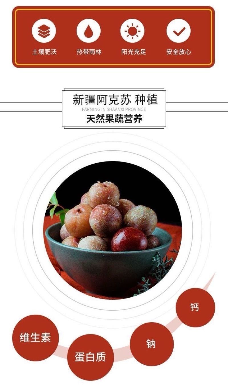 新疆恐龙蛋一件代发产地直发一手货源对接各大电商平台