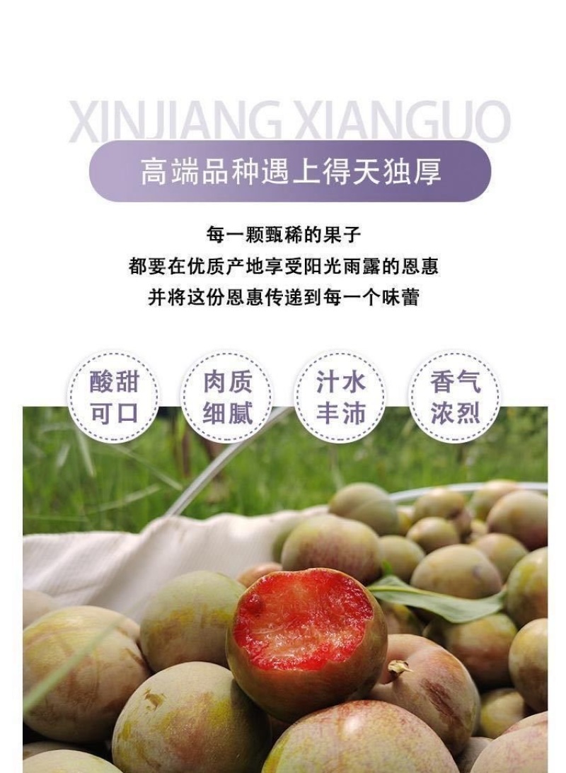 新疆恐龙蛋一件代发产地直发一手货源对接各大电商平台