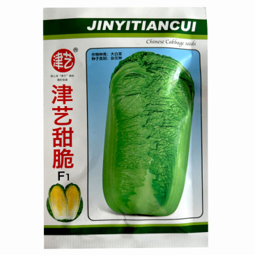 津艺甜脆白菜种子青麻叶大白菜20g心叶黄70天