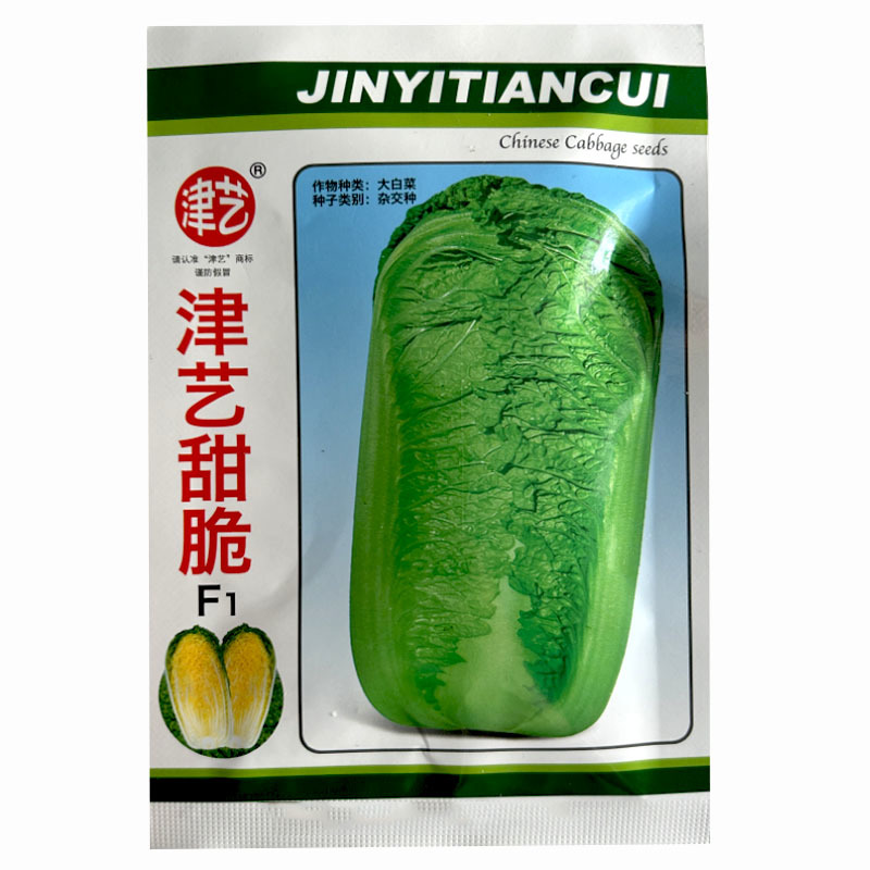津艺甜脆白菜种子青麻叶大白菜20g心叶黄70天