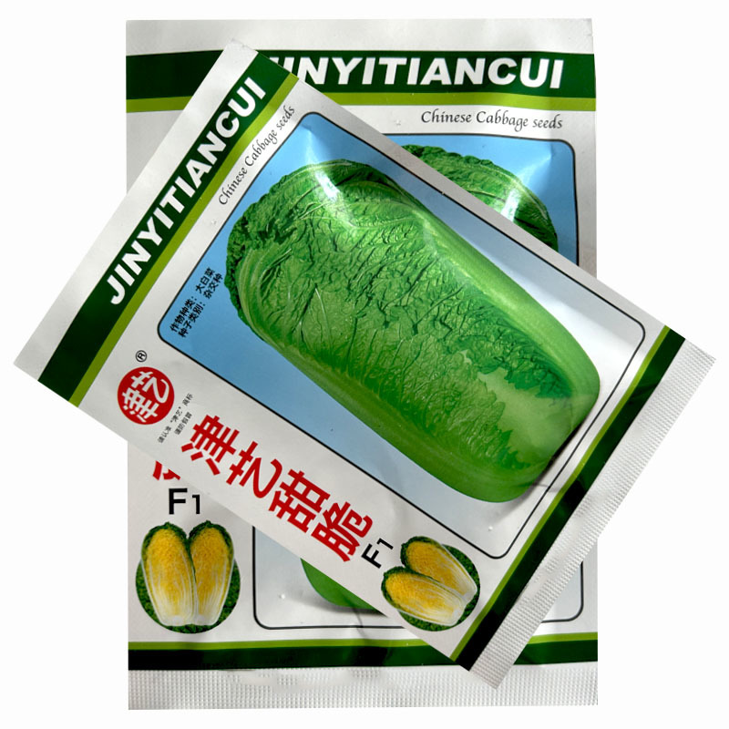 津艺甜脆白菜种子青麻叶大白菜20g心叶黄70天