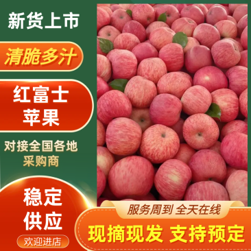 红富士苹果，全红，条纹，产地大量现货，支持全国各地发货