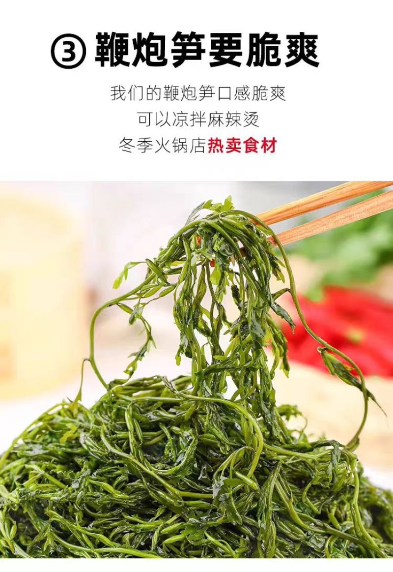 霞浦鞭炮笋新鲜海藻火锅拌凉菜海草火炮菜长寿菜盐渍马尾藻脆