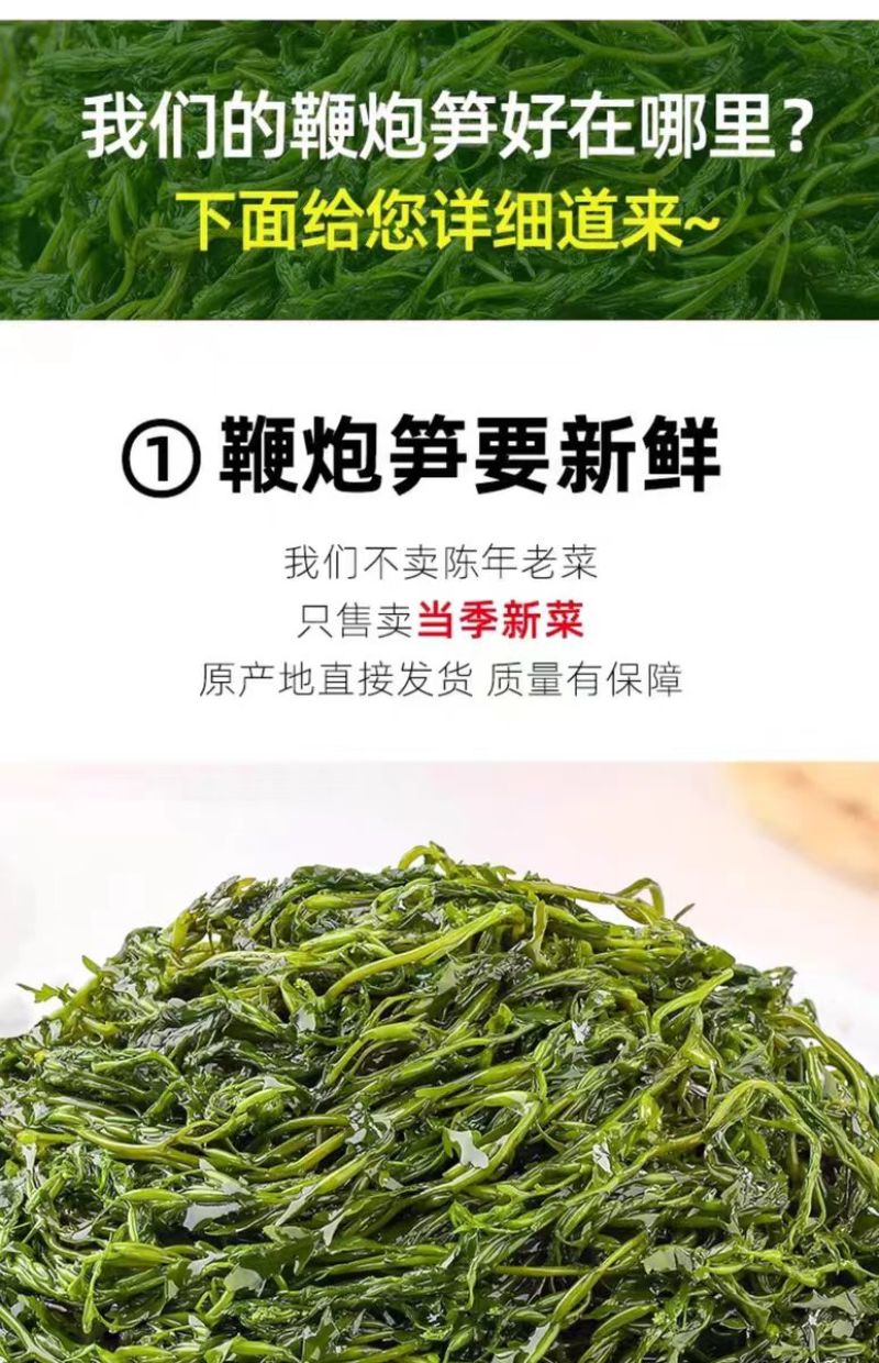 霞浦鞭炮笋新鲜海藻火锅拌凉菜海草火炮菜长寿菜盐渍马尾藻脆