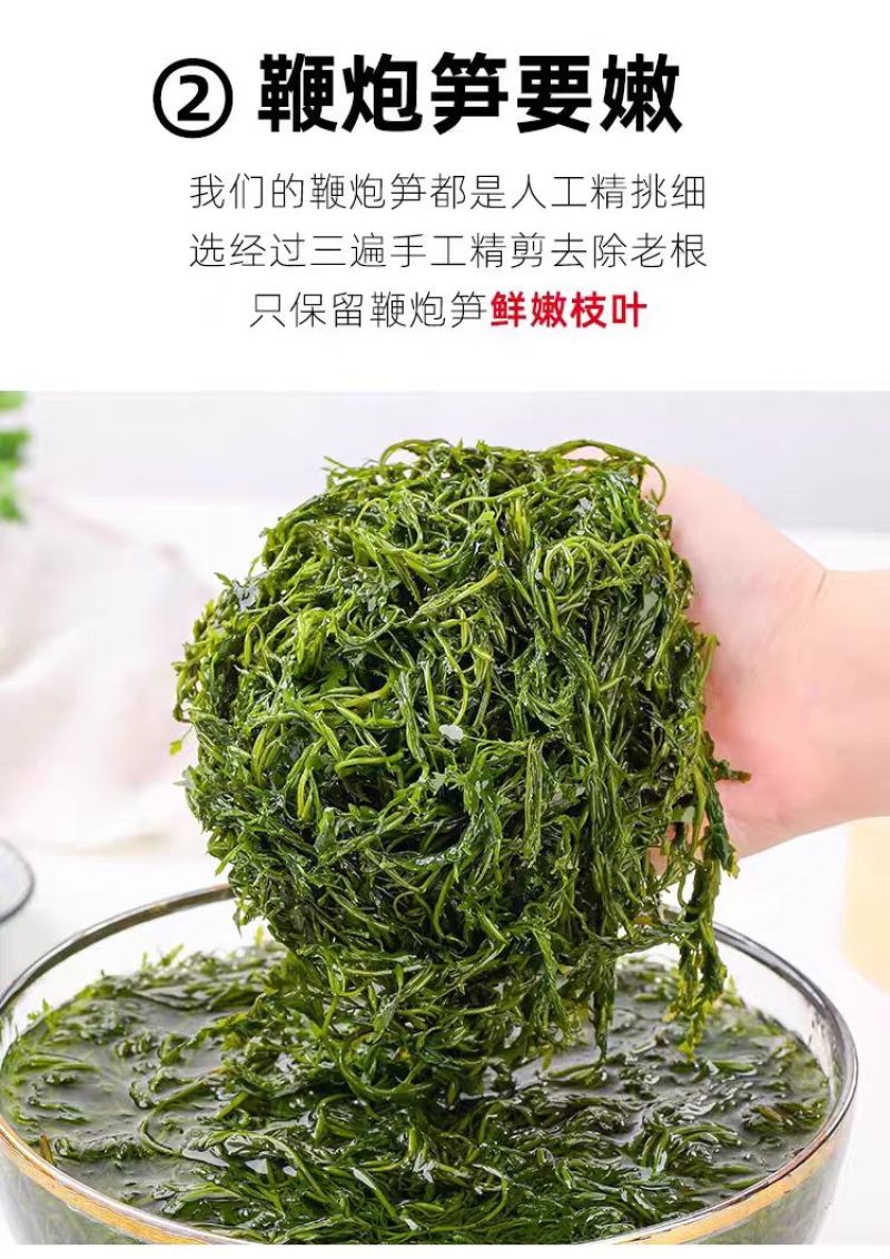 霞浦鞭炮笋新鲜海藻火锅拌凉菜海草火炮菜长寿菜盐渍马尾藻脆