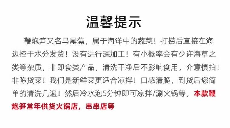 霞浦鞭炮笋新鲜海藻火锅拌凉菜海草火炮菜长寿菜盐渍马尾藻脆
