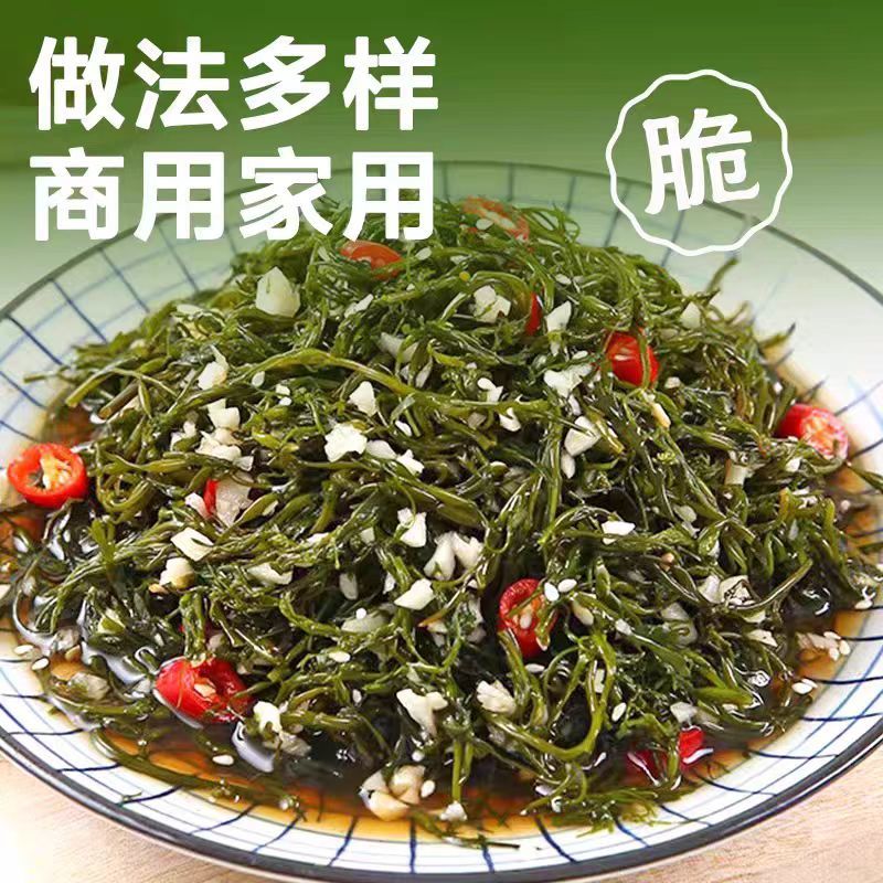 霞浦鞭炮笋新鲜海藻火锅拌凉菜海草火炮菜长寿菜盐渍马尾藻脆