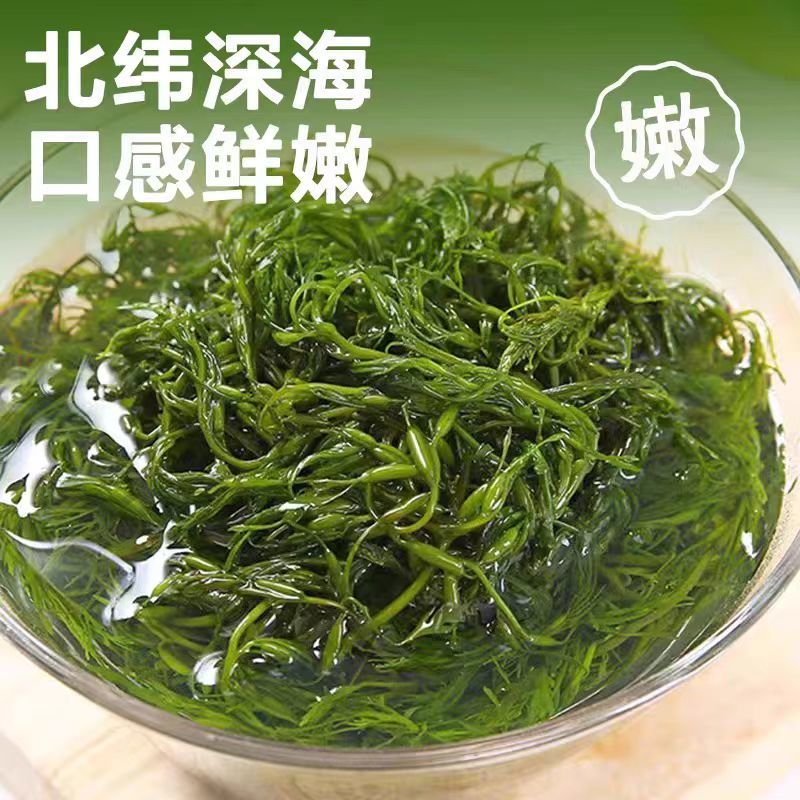 霞浦鞭炮笋新鲜海藻火锅拌凉菜海草火炮菜长寿菜盐渍马尾藻脆