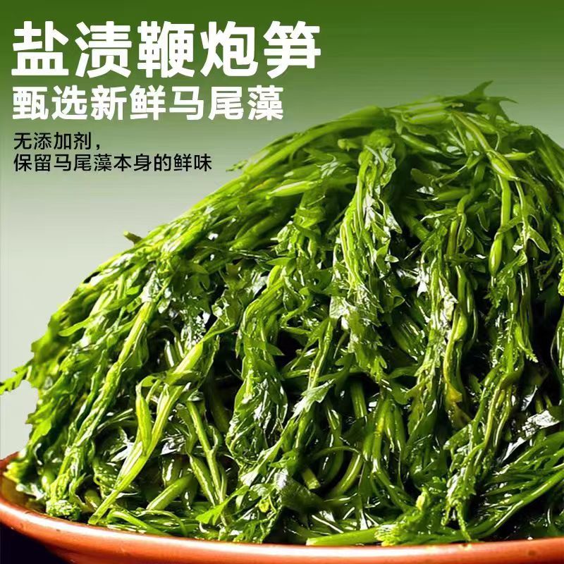 霞浦鞭炮笋新鲜海藻火锅拌凉菜海草火炮菜长寿菜盐渍马尾藻脆