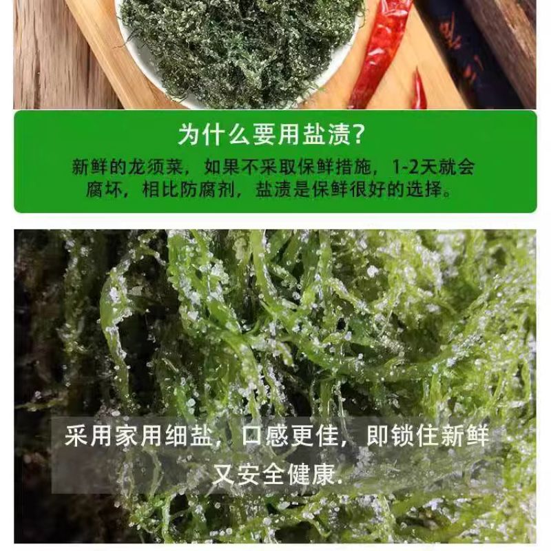 福建霞浦盐渍龙须菜海菜绿藻海藻丝海发菜海草凉拌菜火锅食材