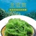 福建霞浦盐渍龙须菜海菜绿藻海藻丝海发菜海草凉拌菜火锅食材