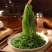 福建霞浦盐渍龙须菜海菜绿藻海藻丝海发菜海草凉拌菜火锅食材