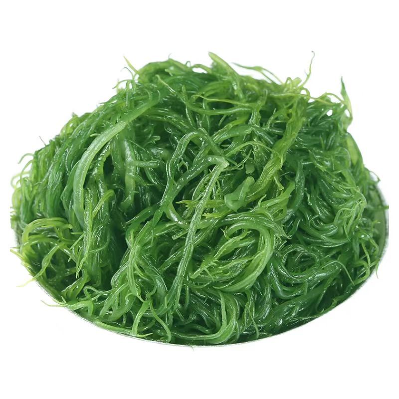 福建霞浦盐渍龙须菜海菜绿藻海藻丝海发菜海草凉拌菜火锅食材