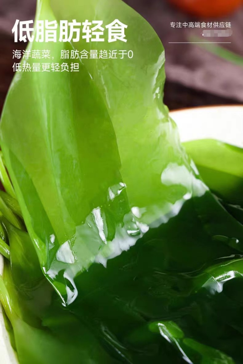 福建霞浦海带苗散装嫩苗10斤装特产新鲜酒店排档快餐店海带
