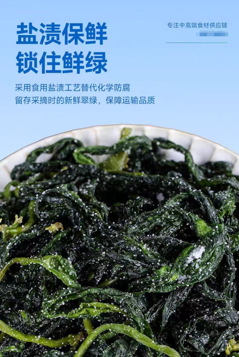 福建霞浦海带苗散装嫩苗10斤装特产新鲜酒店排档快餐店海带
