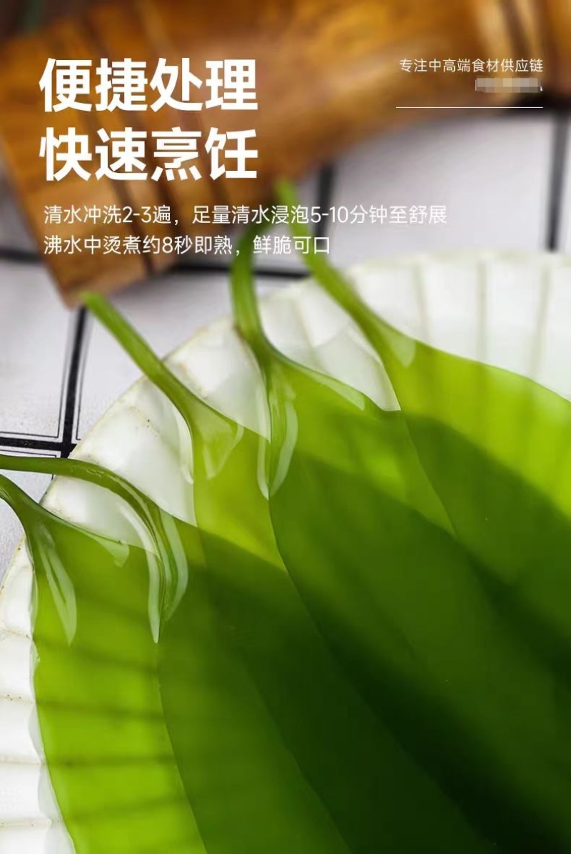 福建霞浦海带苗散装嫩苗10斤装特产新鲜酒店排档快餐店海带