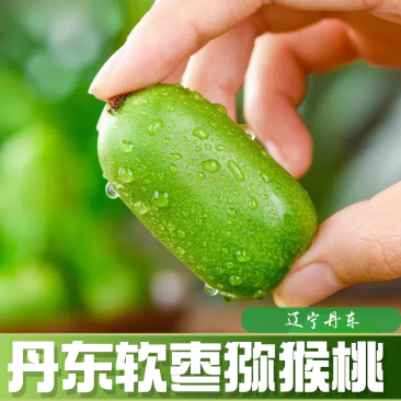 丹东软枣猕猴桃