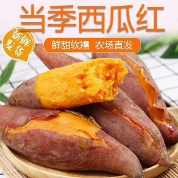 云南西瓜红