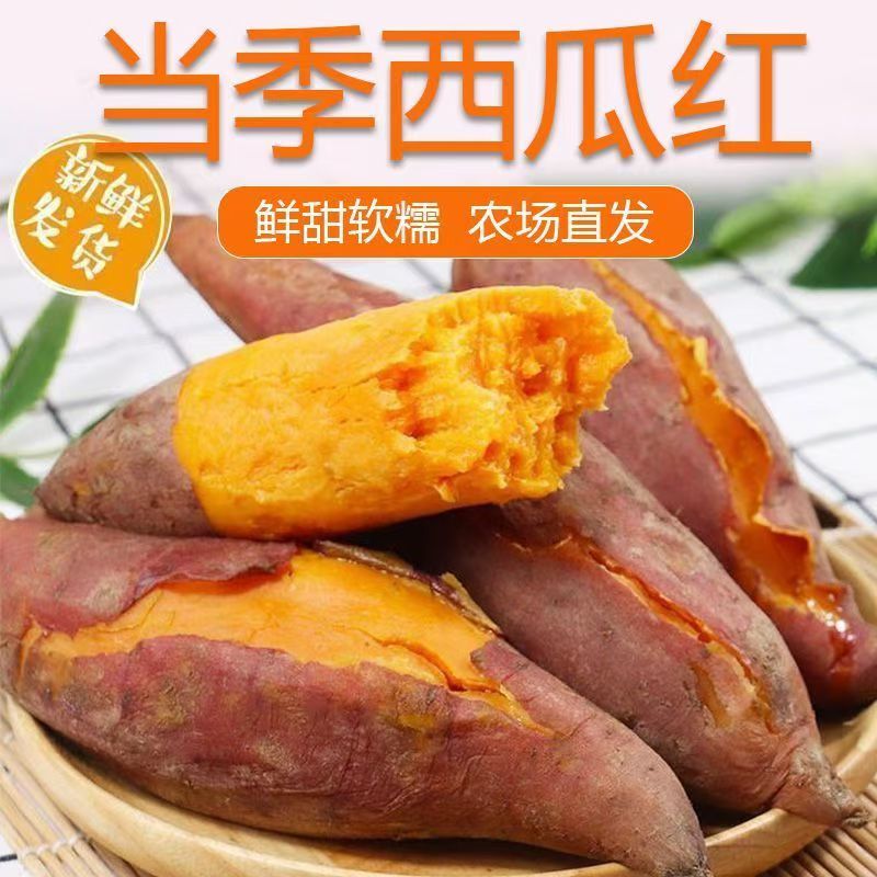 云南西瓜红