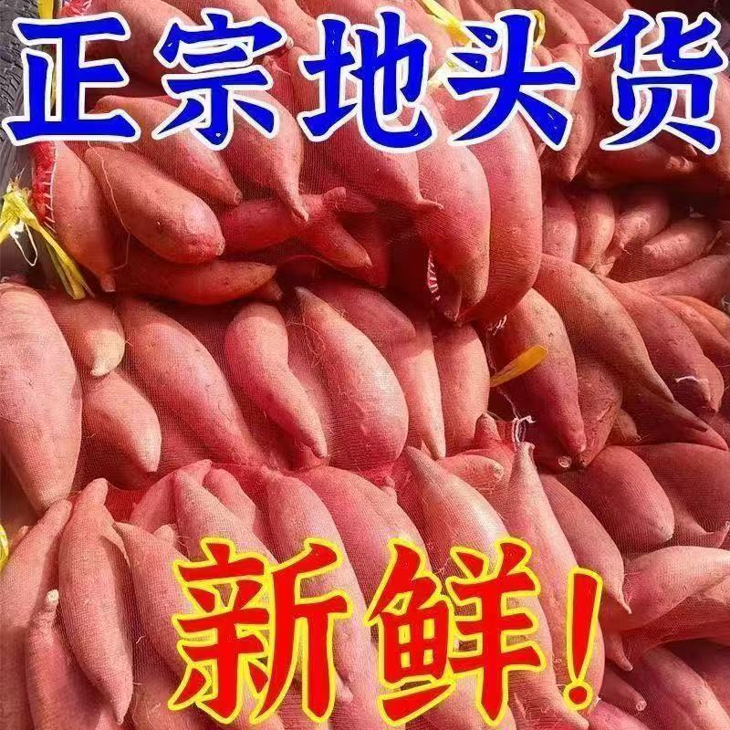 云南西瓜红