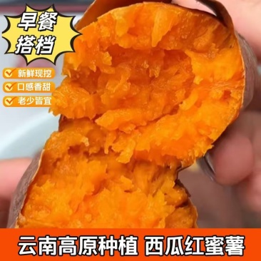 西瓜红一件代发