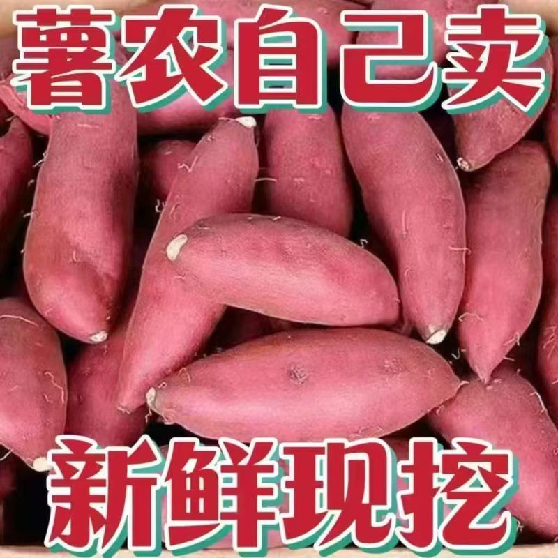 西瓜红一件代发
