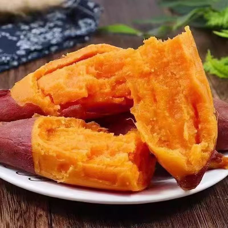 云南高山蜜薯