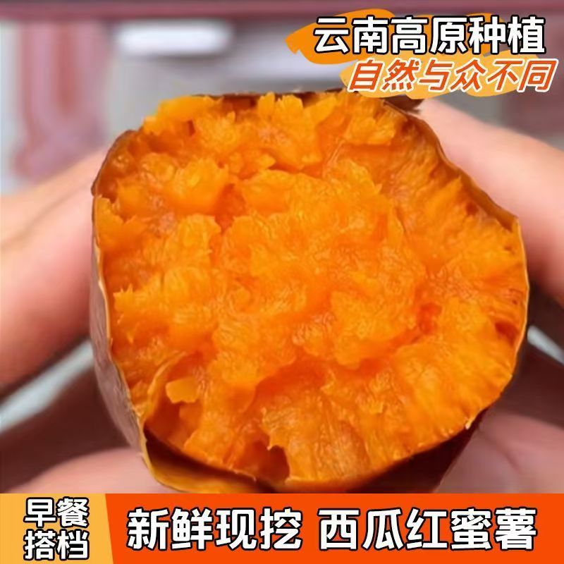 云南高山蜜薯