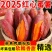云南高山蜜薯