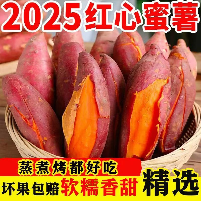 云南高山蜜薯