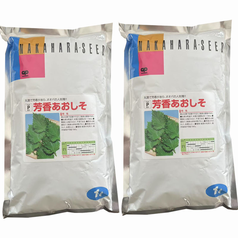 进口日本紫苏种子500克平叶芳香青紫苏叶鲜绿色基地