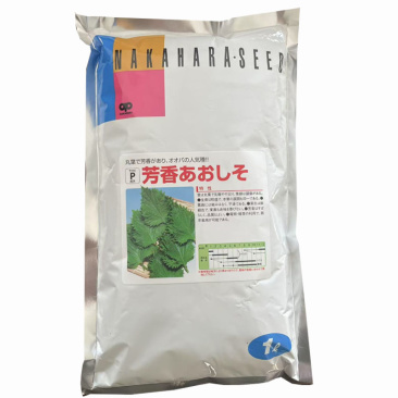 进口日本紫苏种子500克平叶芳香青紫苏叶鲜绿色基地