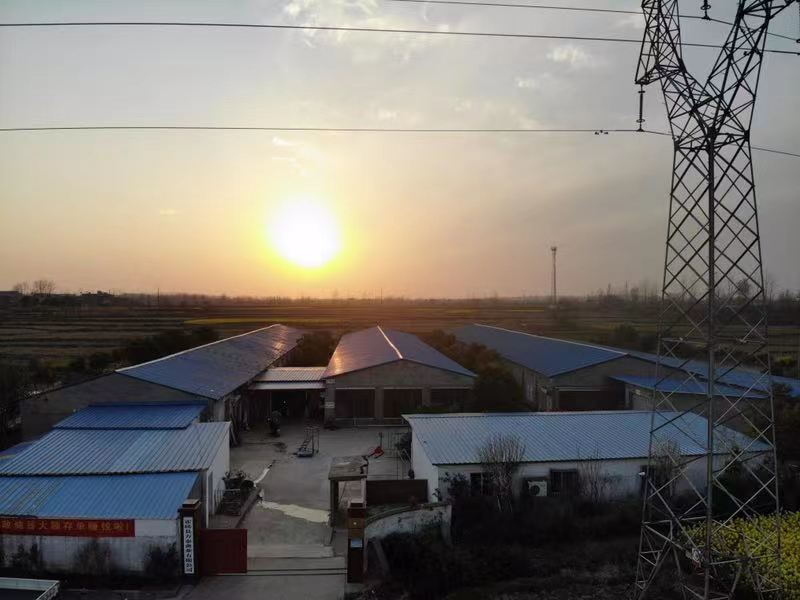 土鸡蛋，对接批发商，量大可议价，商超市场一件代发
