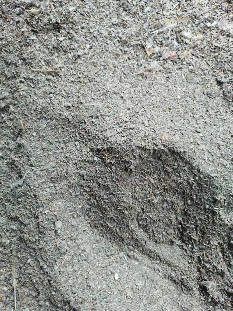 鸡粪有机肥