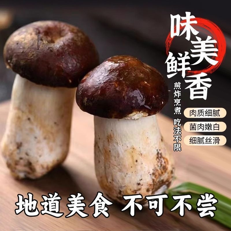 河北赤松茸，实力精选.，品质保证，价格优惠，产地直发