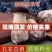 河北赤松茸，实力精选.，品质保证，价格优惠，产地直发