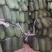 水果冬瓜现货面积大有场地工人备货快随来随走一条龙服务按需分拣