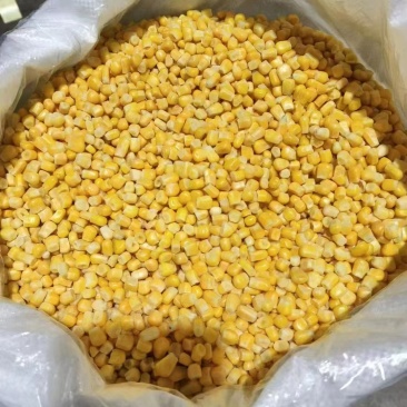 速冻玉米粒商用工厂直销一吨起批