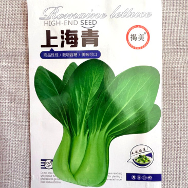 上海青种子直立束腰抗病耐寒青梗菜上海青白菜种子
