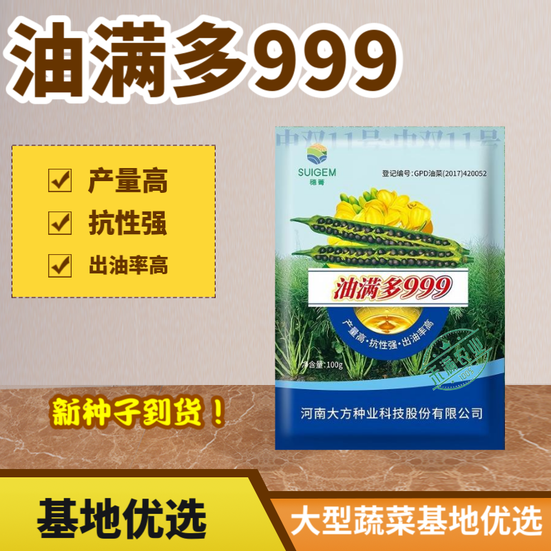 【油满多999】基地高产油菜籽种子矮杆抗性强出油高榨油