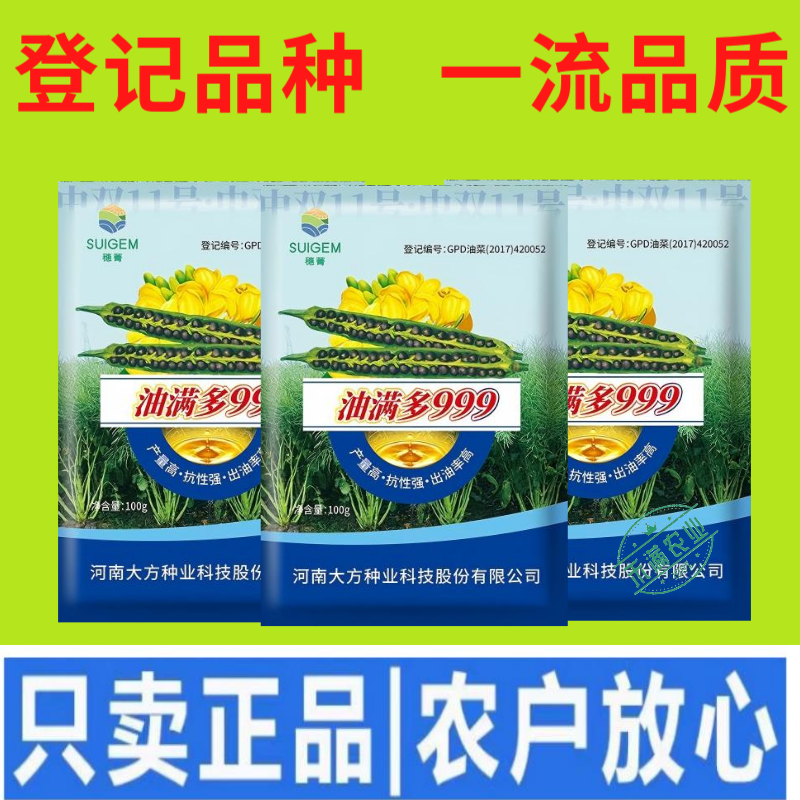 【油满多999】基地高产油菜籽种子矮杆抗性强出油高榨油