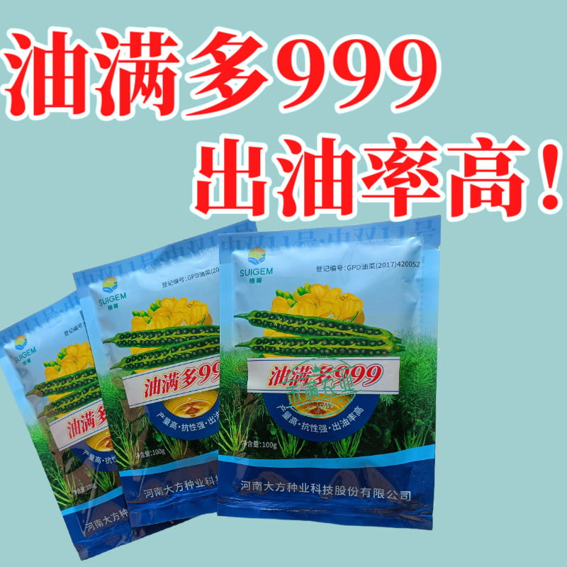 【油满多999】基地高产油菜籽种子矮杆抗性强出油高榨油