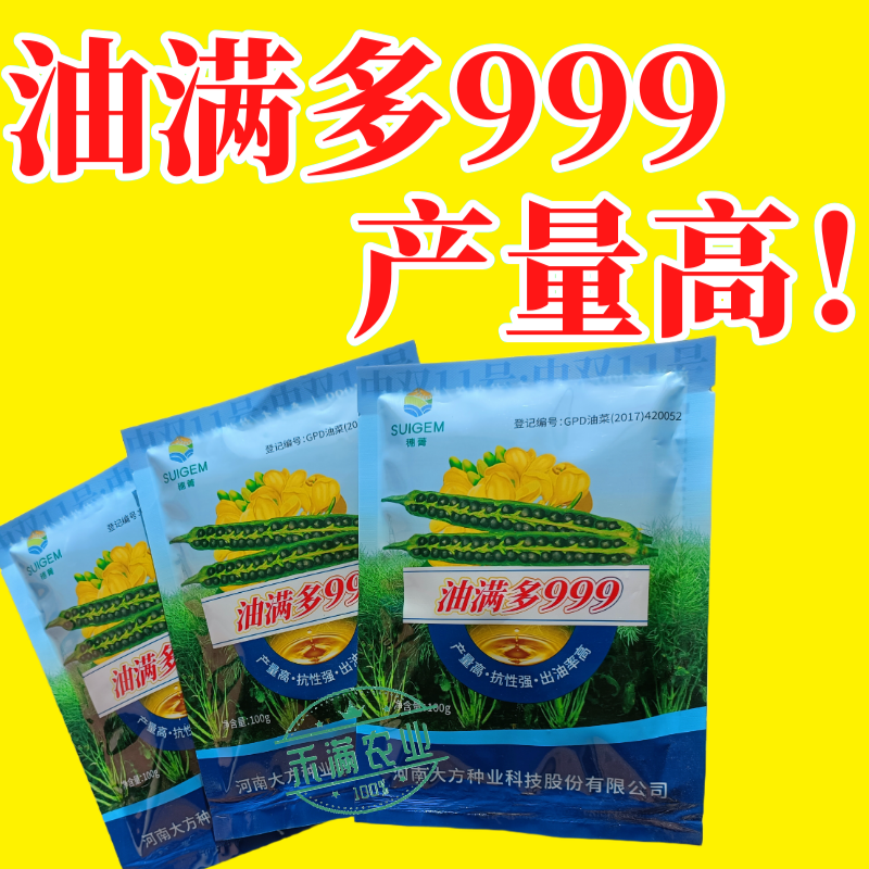 【油满多999】基地高产油菜籽种子矮杆抗性强出油高榨油
