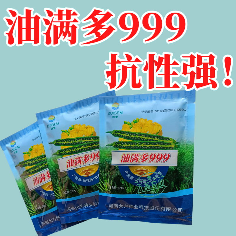 【油满多999】基地高产油菜籽种子矮杆抗性强出油高榨油