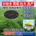 【油满多999】基地高产油菜籽种子矮杆抗性强出油高榨油