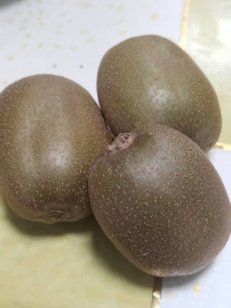 山东绿心猕猴桃新鲜上市整车走货量大从优价格美丽质量好热卖