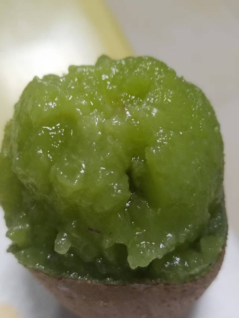 山东绿心猕猴桃新鲜上市价格美丽质量好走货快欢迎询价热卖中