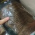 精品毛肚大量供应产地直发价格优惠欢迎来电