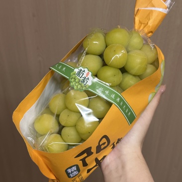 上海精品阳光玫瑰按需包装产地一手货源量大从优欢迎实地考察