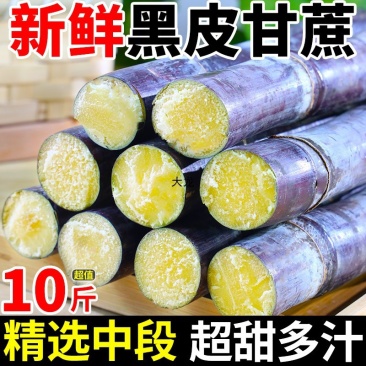 广西黑皮甘蔗一件代发产地直发一手货源对接各大电商平台